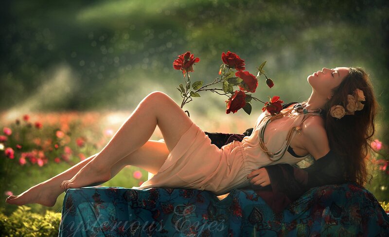woman with roses in garden