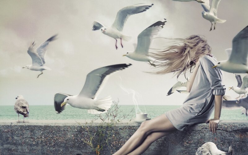 Woman with Seagulls — Gray