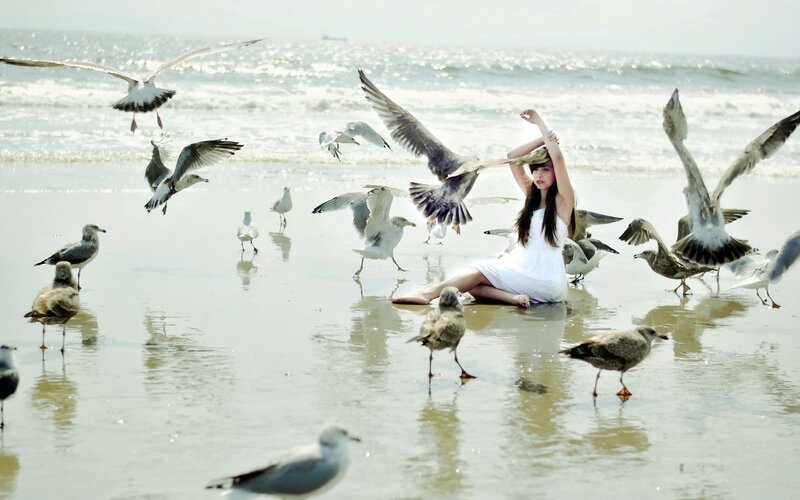 woman with seagulls on beach