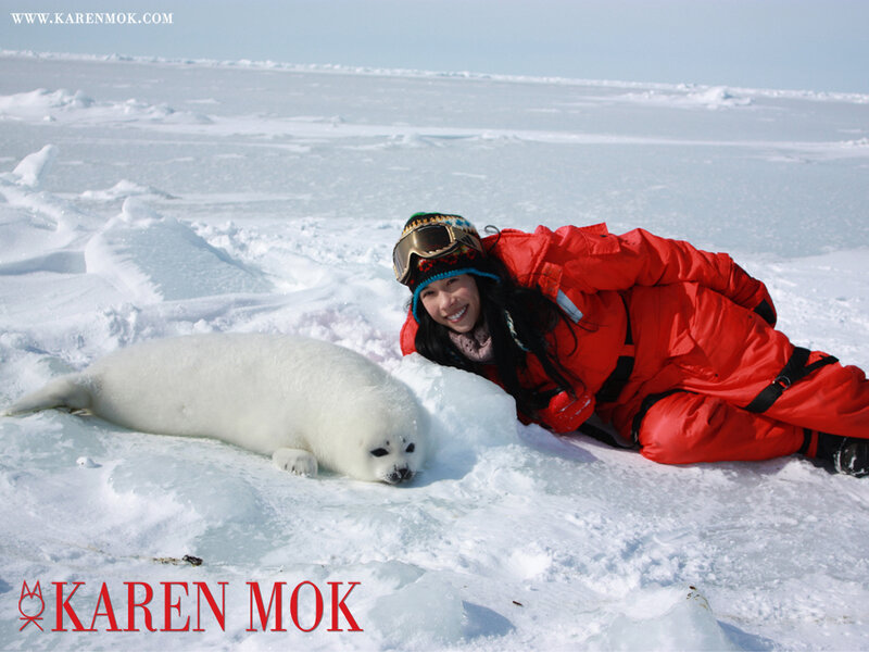 Woman with seal pup on ice
