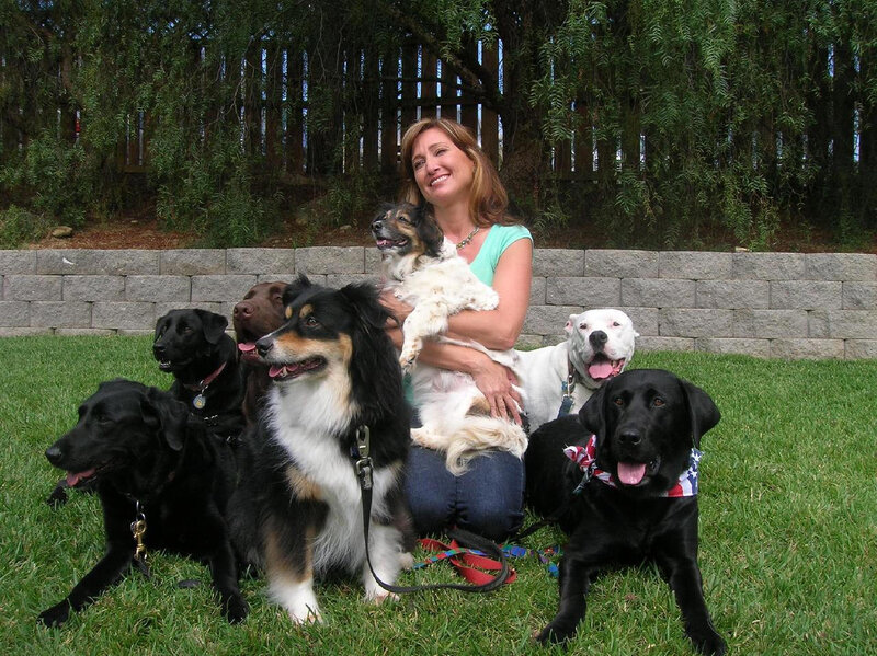 Woman with Seven Dogs