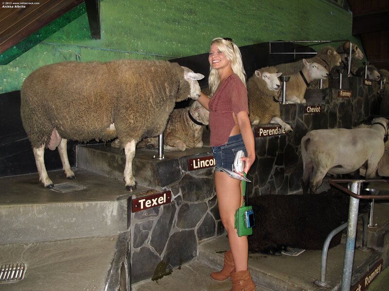 Woman with sheep at exhibit