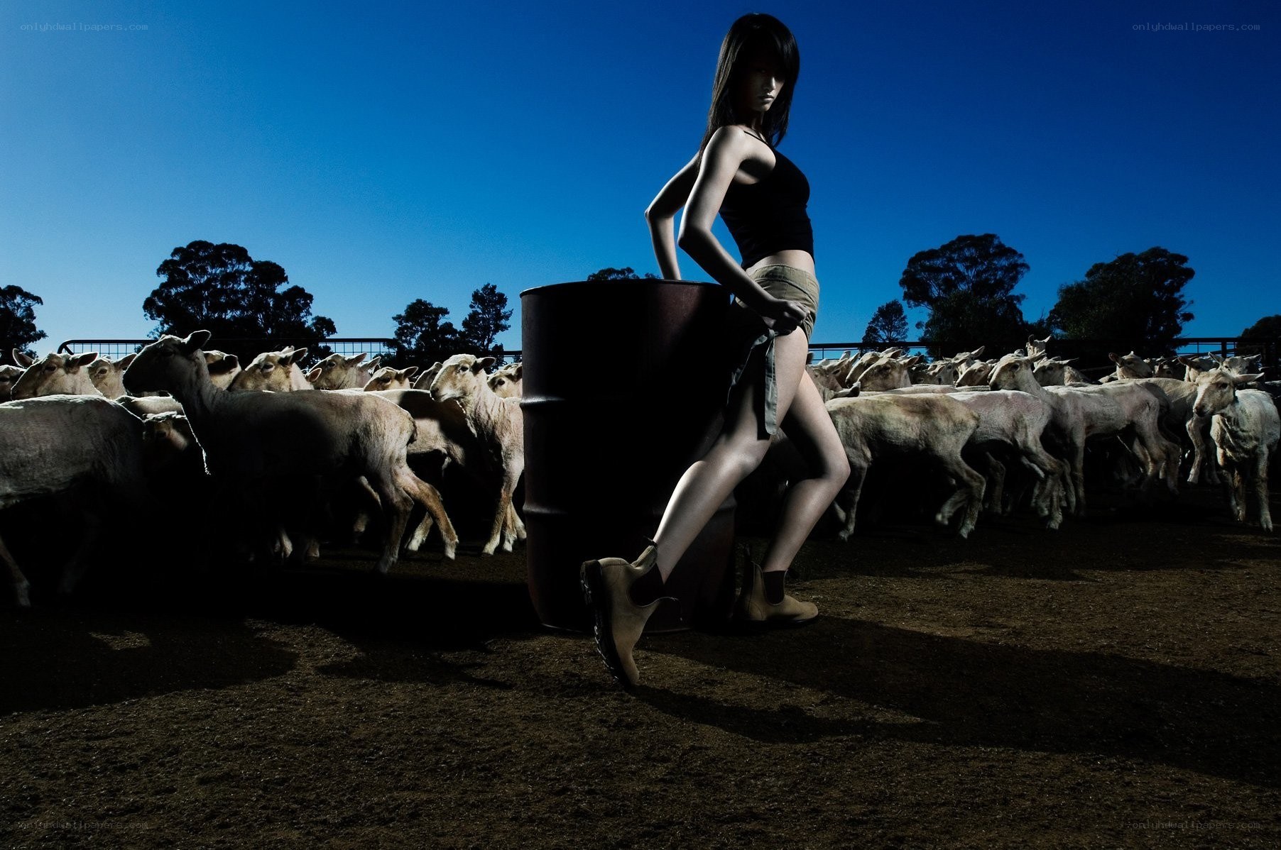 Woman with sheep herd