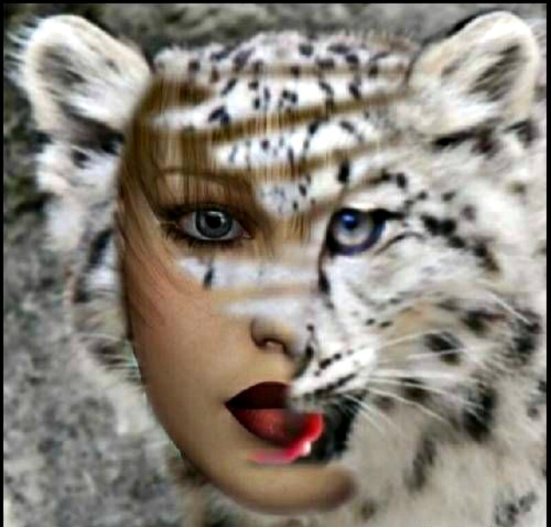 Woman with Snow Leopard — White, Dramatic, Digital Art