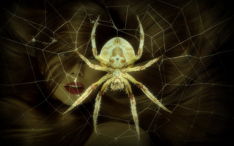 Woman with Spider — Brown