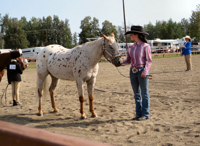 Woman with Spotted Horse — Brown