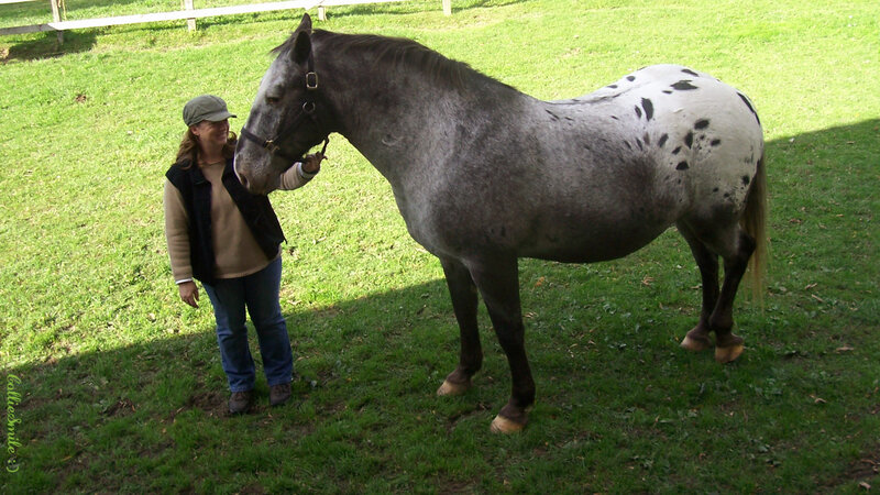 Woman with Spotted Horse — Green