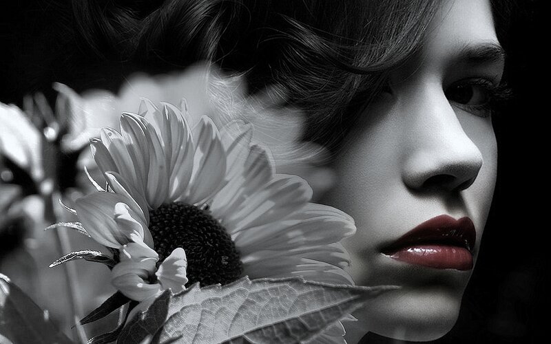 Woman with Sunflower — Black, Dramatic