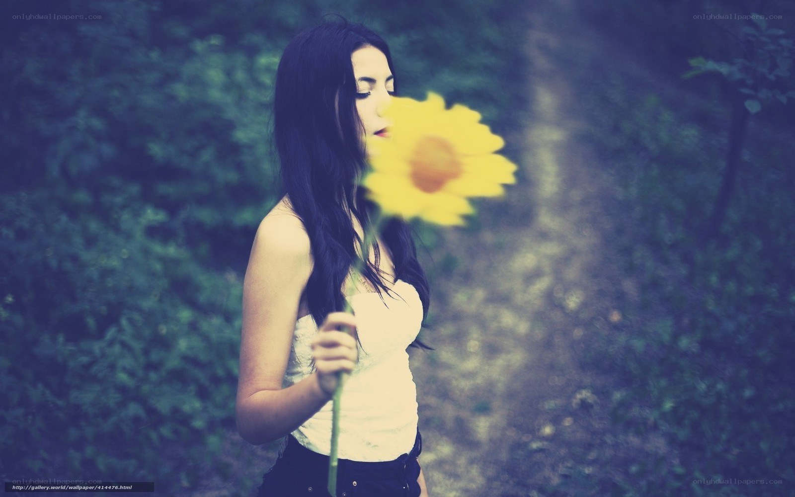 woman with sunflower in forest