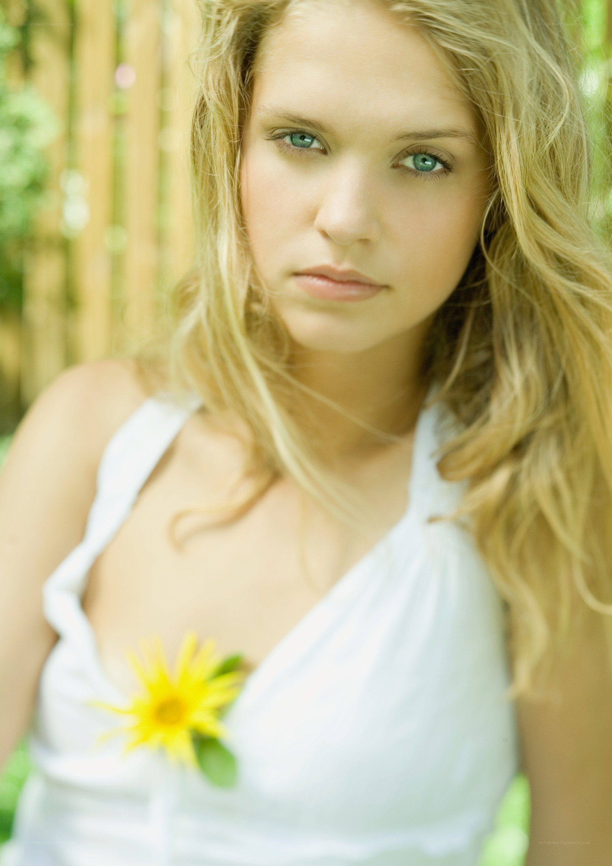 woman with sunflower