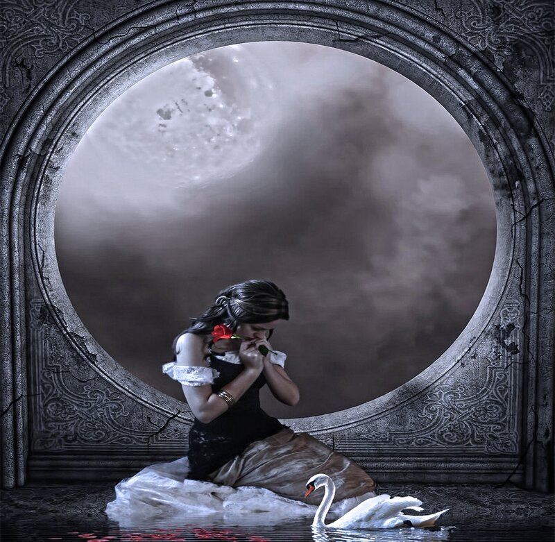 Woman with Swan — Black