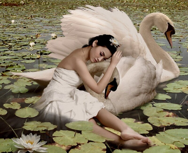 woman with swan in pond