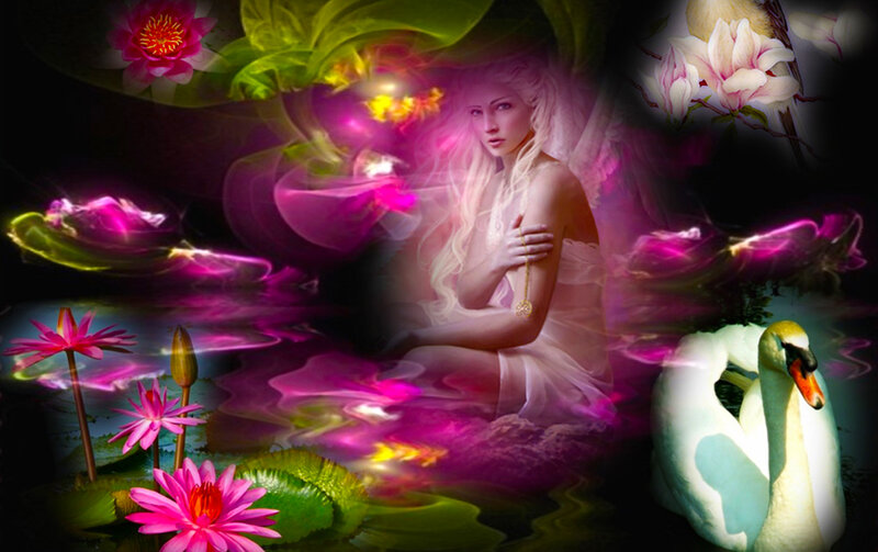 Woman with Swan — Pink, Dreamy