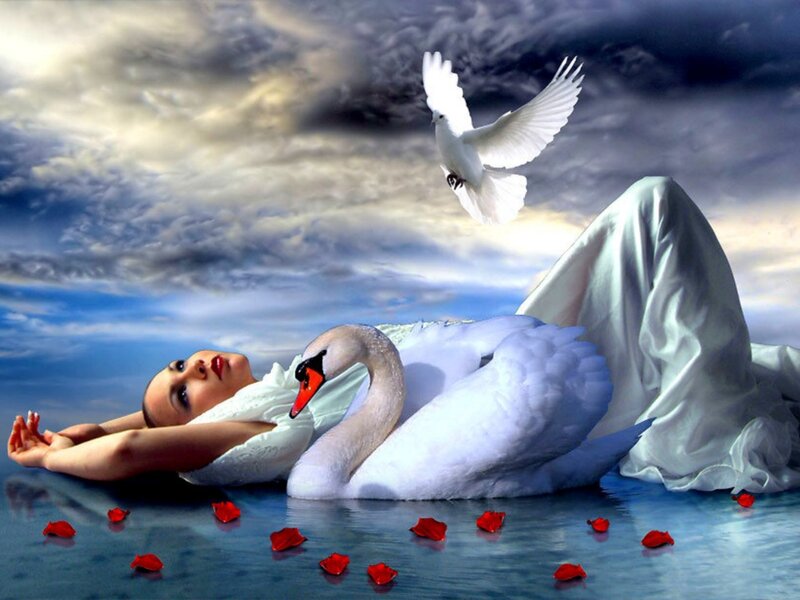 Woman with Swan — White, Serene