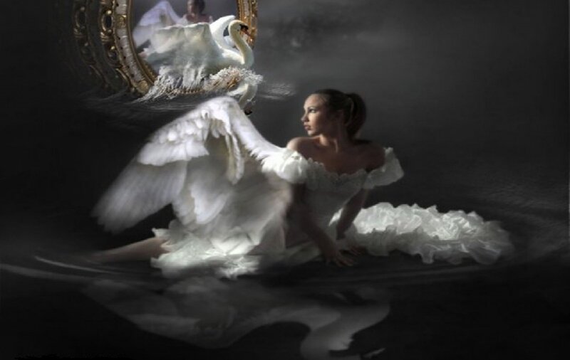 Woman with Swan Wings — White, Dramatic, Digital Art, Mirror