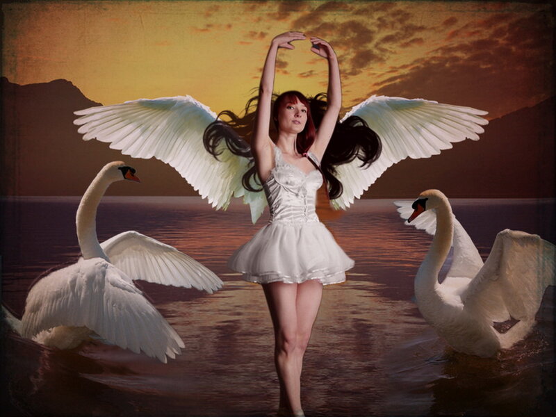 Woman with Swan Wings — White, Dramatic, Sunset
