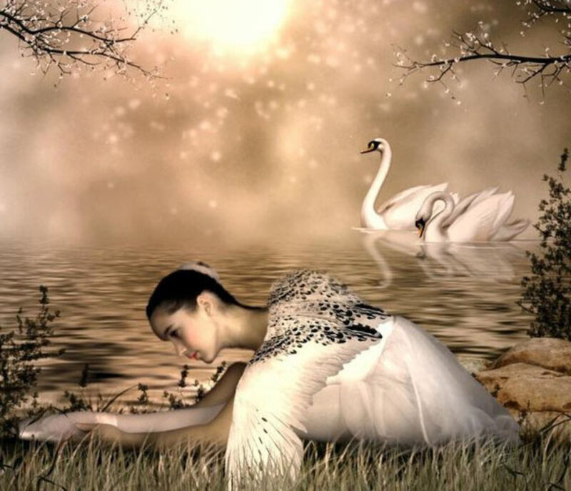 Woman with Swan Wings — White, Serene