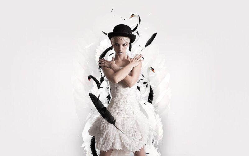 woman with swans and feathers