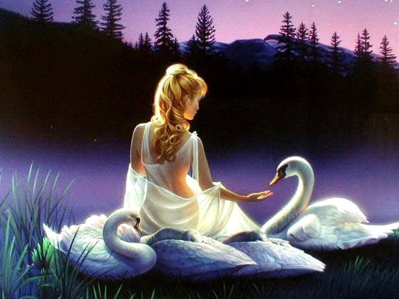 Woman with swans at dusk
