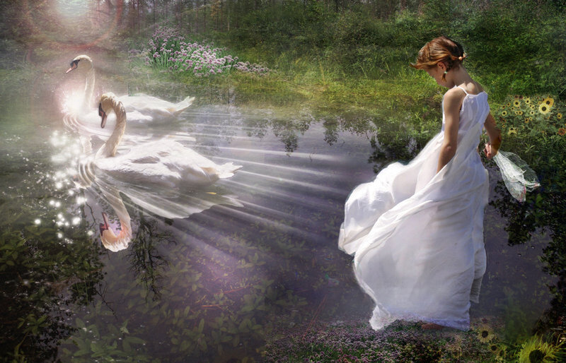 woman with swans in a forest
