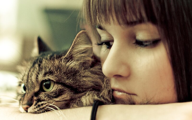 Woman with Tabby Cat — Brown, Calm, Photograph, Person
