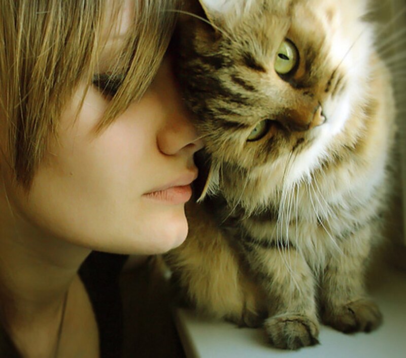 Woman with Tabby Cat — Brown, Calm