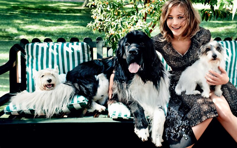 Woman with Three Dogs — Green, Happy