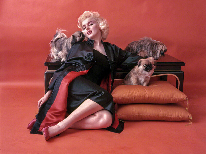 Woman with Three Dogs — Red