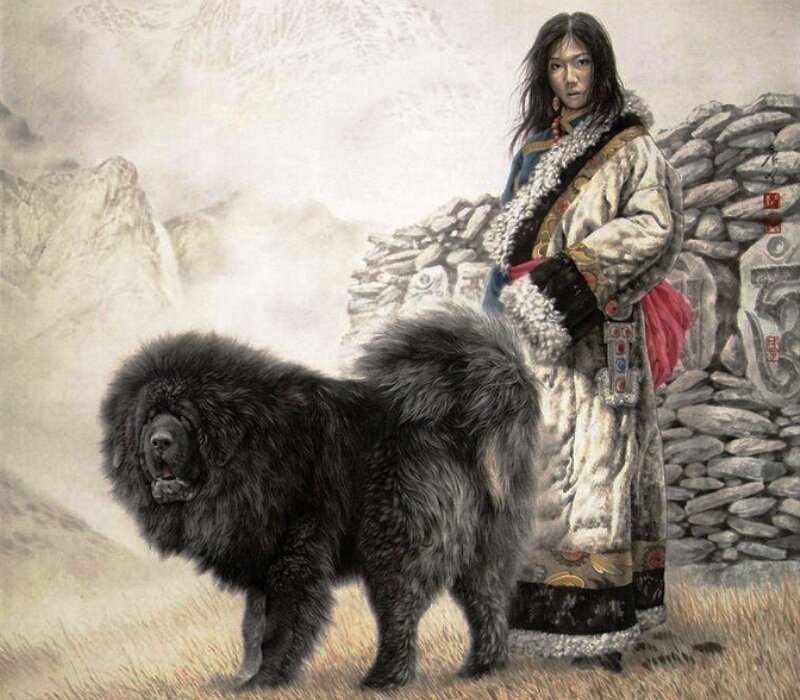 Woman with Tibetan Mastiff