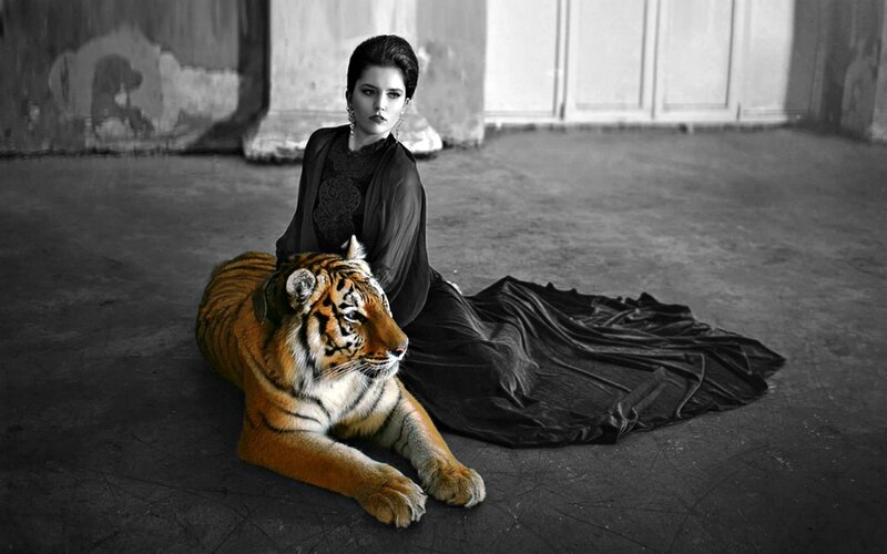 Woman with Tiger — Black, Dramatic, Photograph