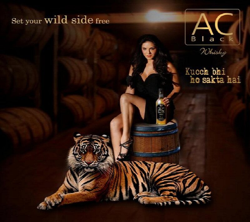 Woman with Tiger — Brown, Dramatic, Night