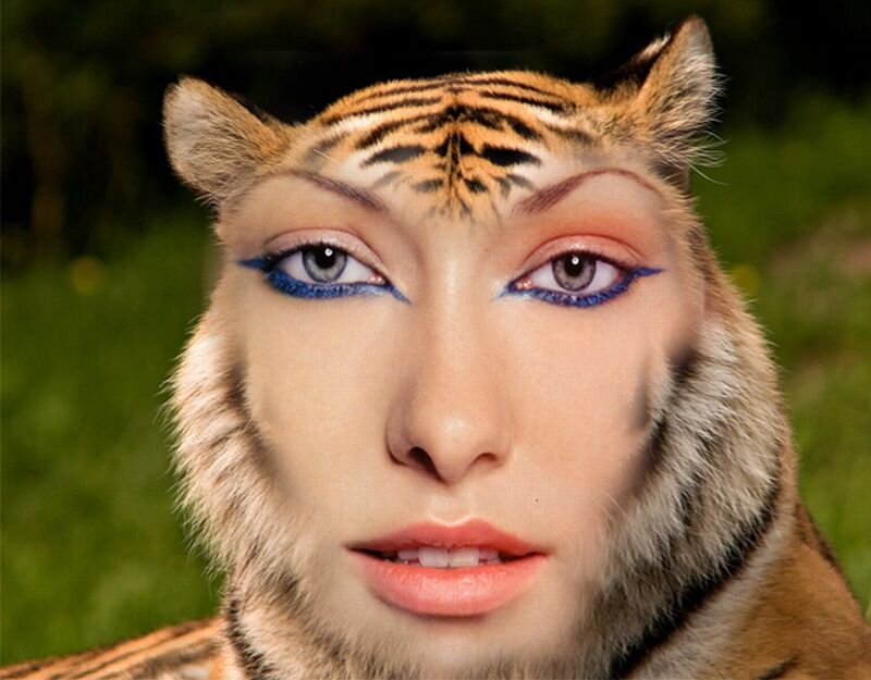 Woman with Tiger Makeup — Orange