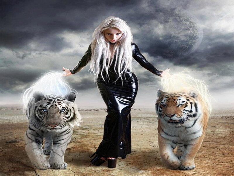 Woman with Tigers — Black, Dramatic