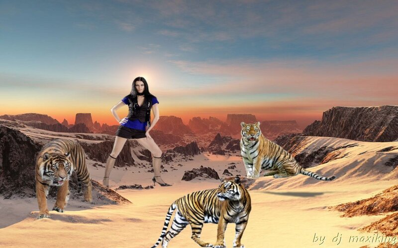 Woman with Tigers — Orange, Dramatic