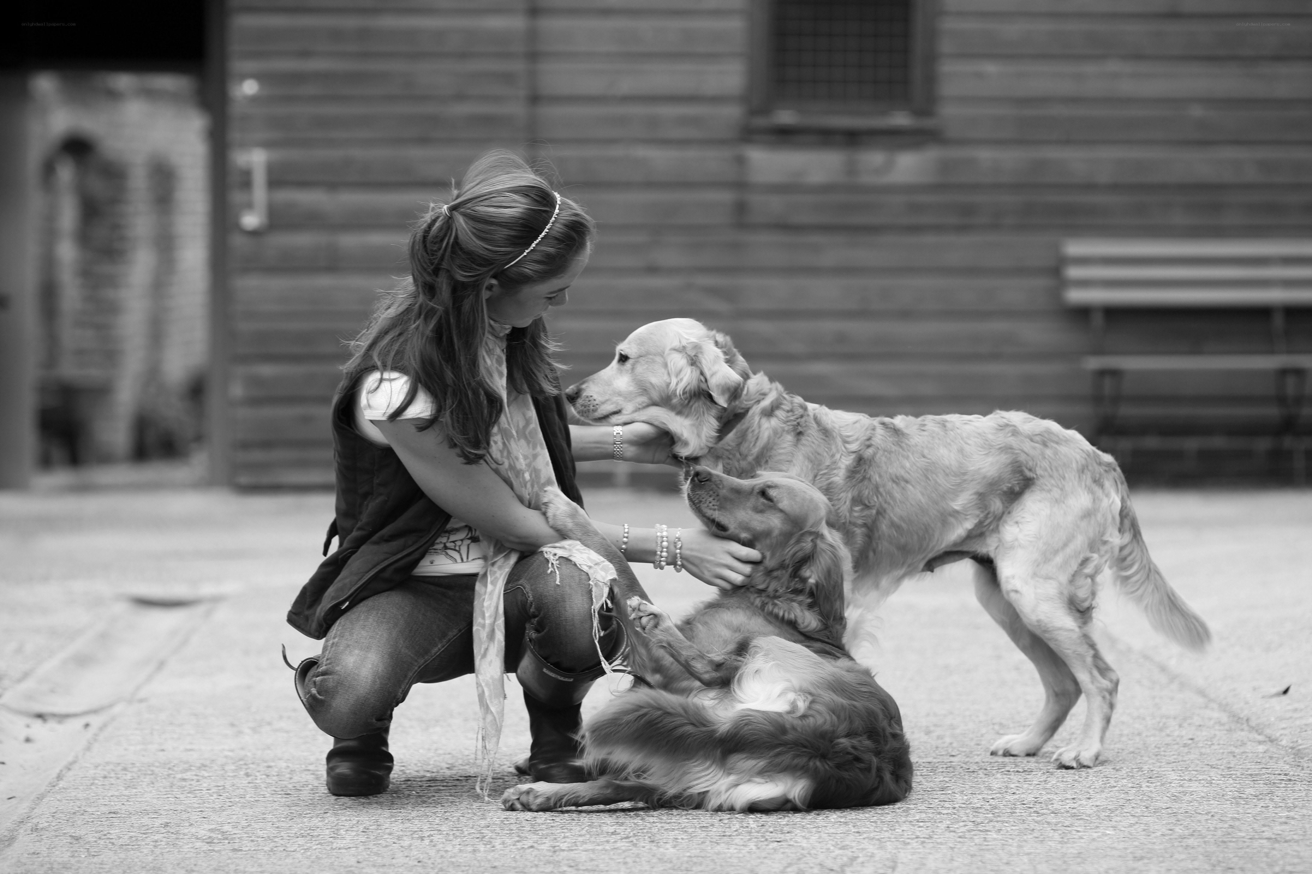 woman with two dogs