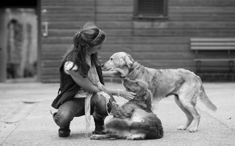 Woman with Two Dogs — Black, Calm