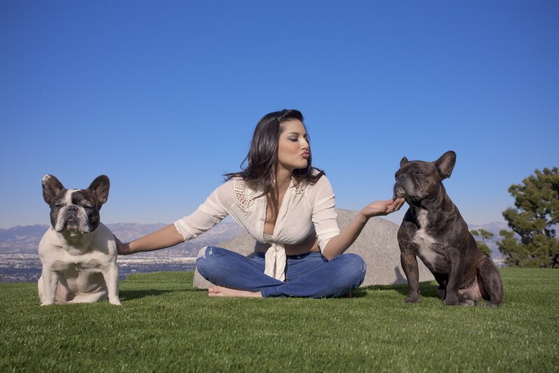 Woman with Two Dogs — Blue, Serene, Afternoon, Photograph, Grass