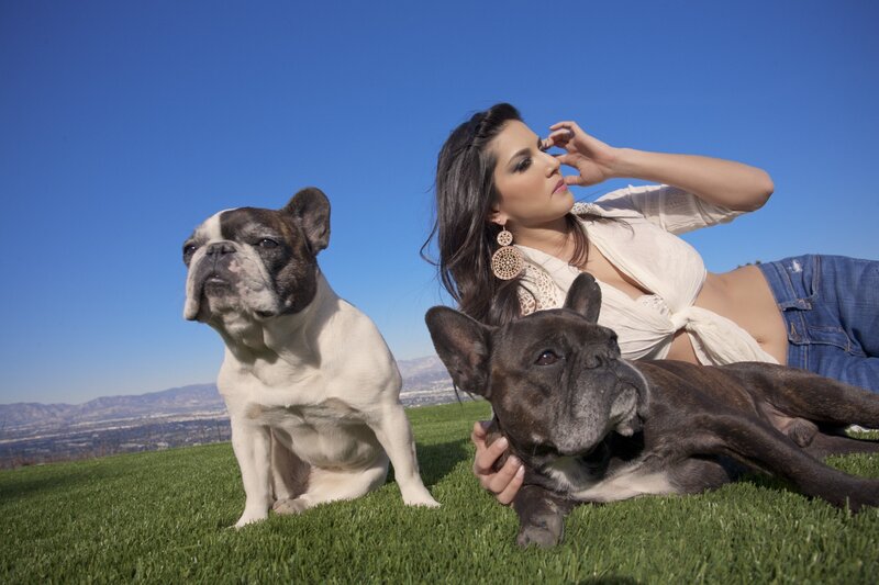 Woman with Two Dogs — Blue, Serene, Afternoon