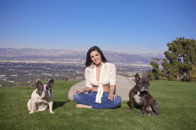 Woman with two dogs on a hill
