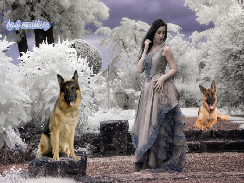 Woman with Two Dogs — Purple