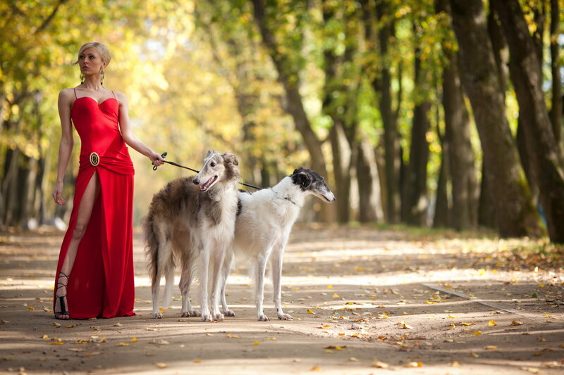 Woman with Two Dogs — Red, Serene, Autumn, Photograph