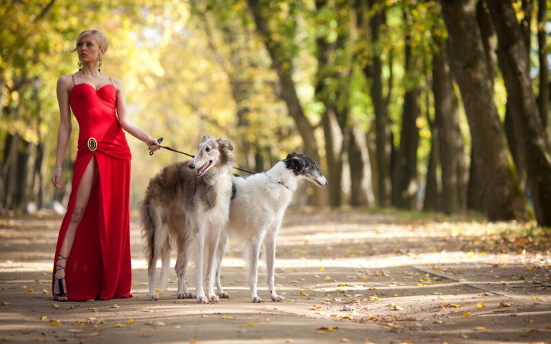 Woman with Two Dogs — Red, Serene