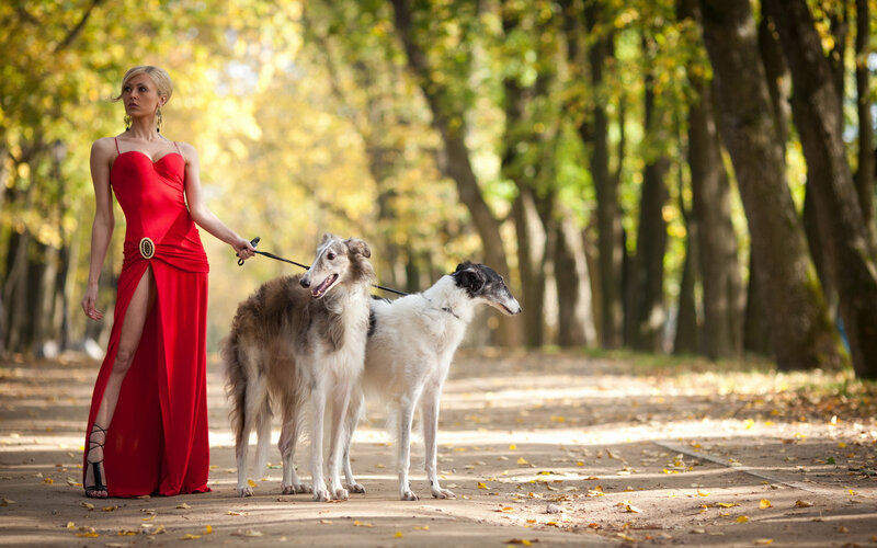 Woman with Two Dogs — Red