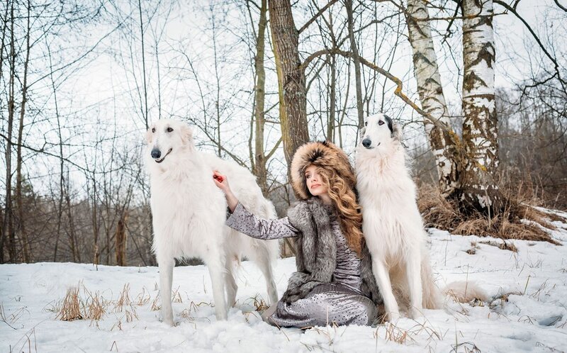 Woman with Two Dogs — White, Serene, Winter, Photograph, Trees