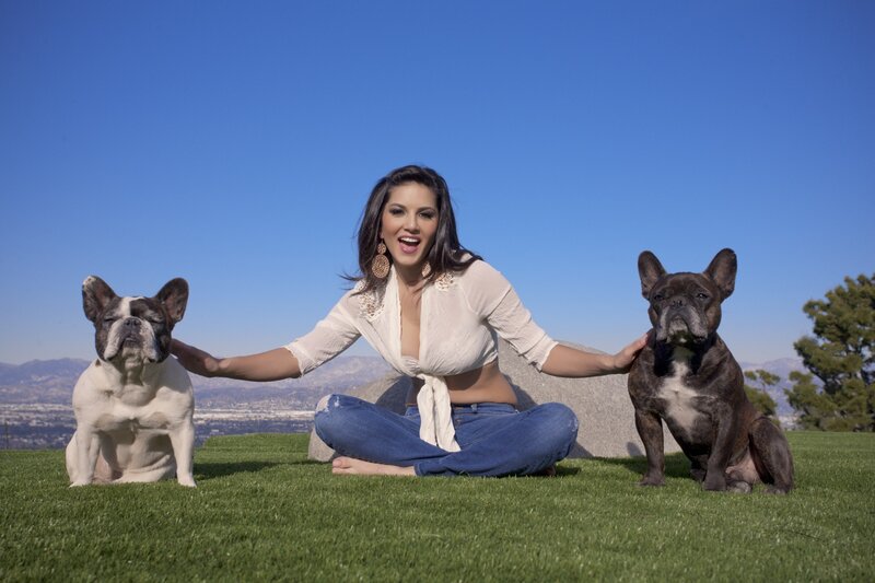 Woman with two French bulldogs