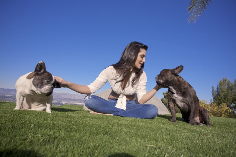 Woman with two French bulldogs