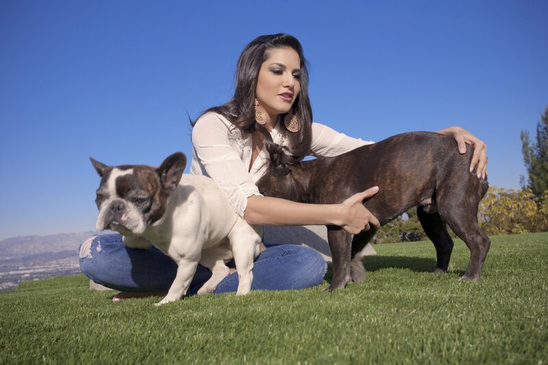 Woman with two French bulldogs