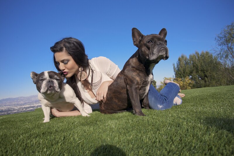 Woman with Two French Bulldogs — Green