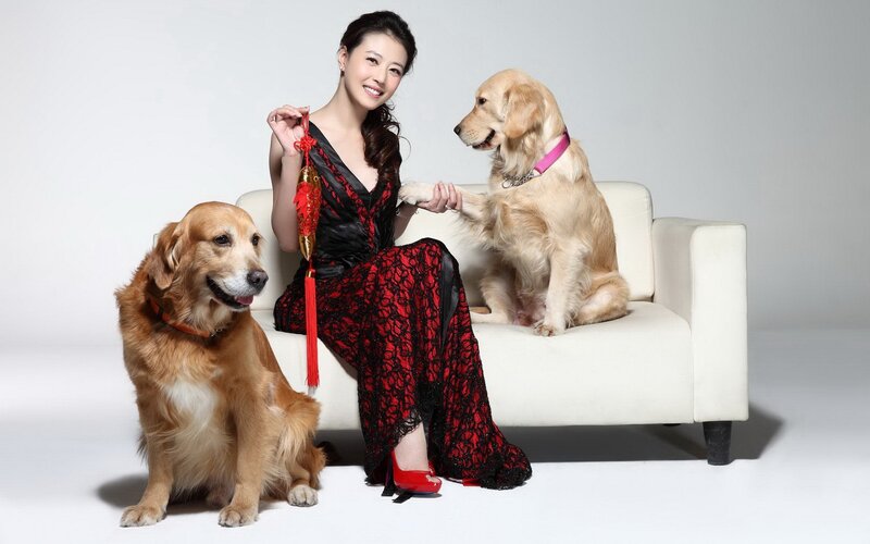 Woman with two golden retrievers