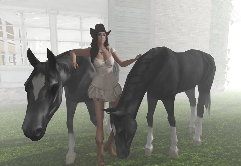 Woman with Two Horses — Black, Calm